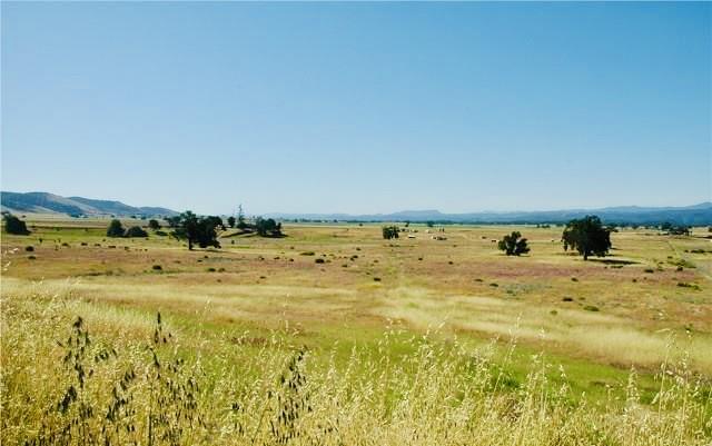 Detail Gallery Image 6 of 32 For 50850 Martinez Rd, Lockwood,  CA 93932 - – Beds | – Baths