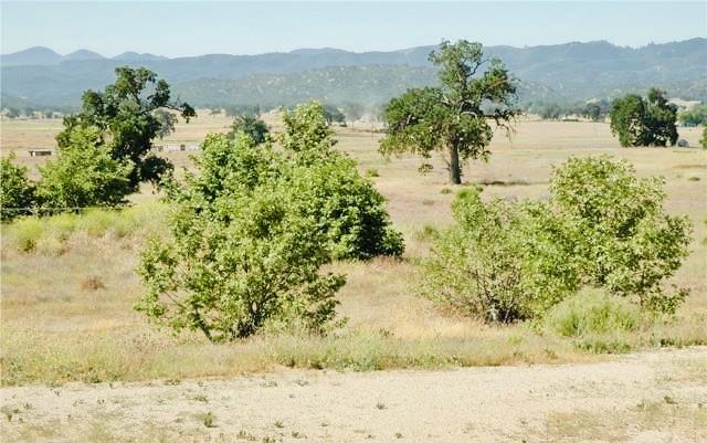 Detail Gallery Image 8 of 32 For 50850 Martinez Rd, Lockwood,  CA 93932 - – Beds | – Baths