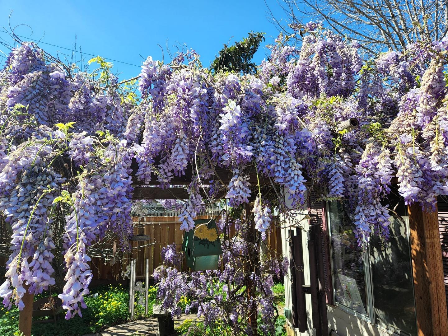 Detail Gallery Image 23 of 27 For 36747 Theta Ct, Fremont,  CA 94536 - 4 Beds | 2/1 Baths