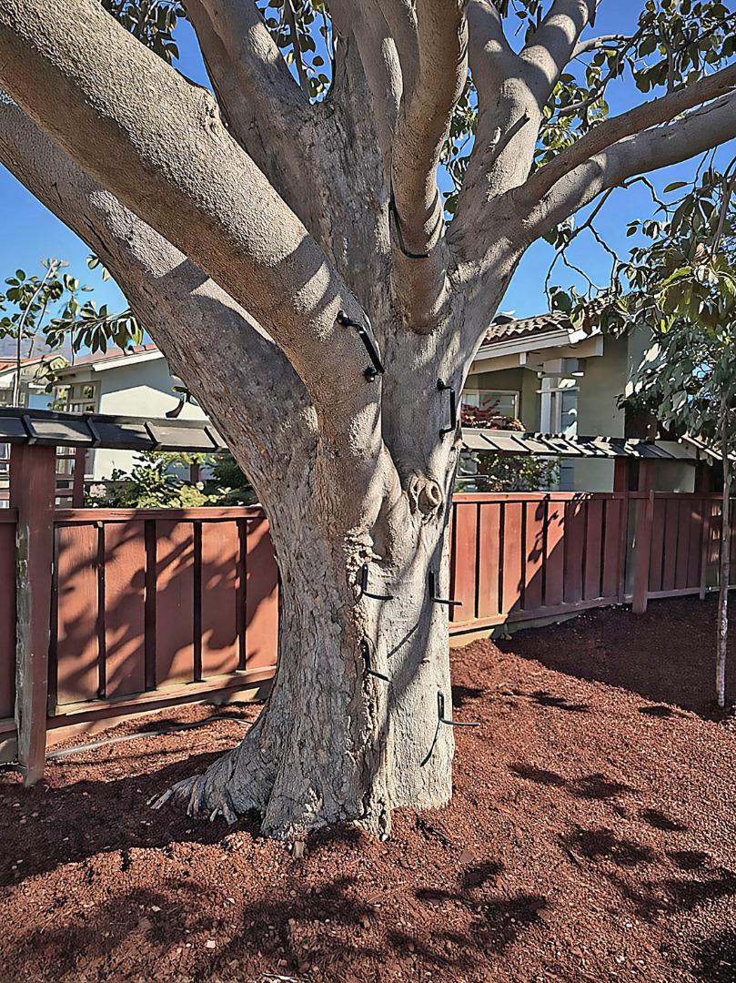 Detail Gallery Image 28 of 31 For 1582 Petal Way, San Jose,  CA 95129 - 4 Beds | 3 Baths