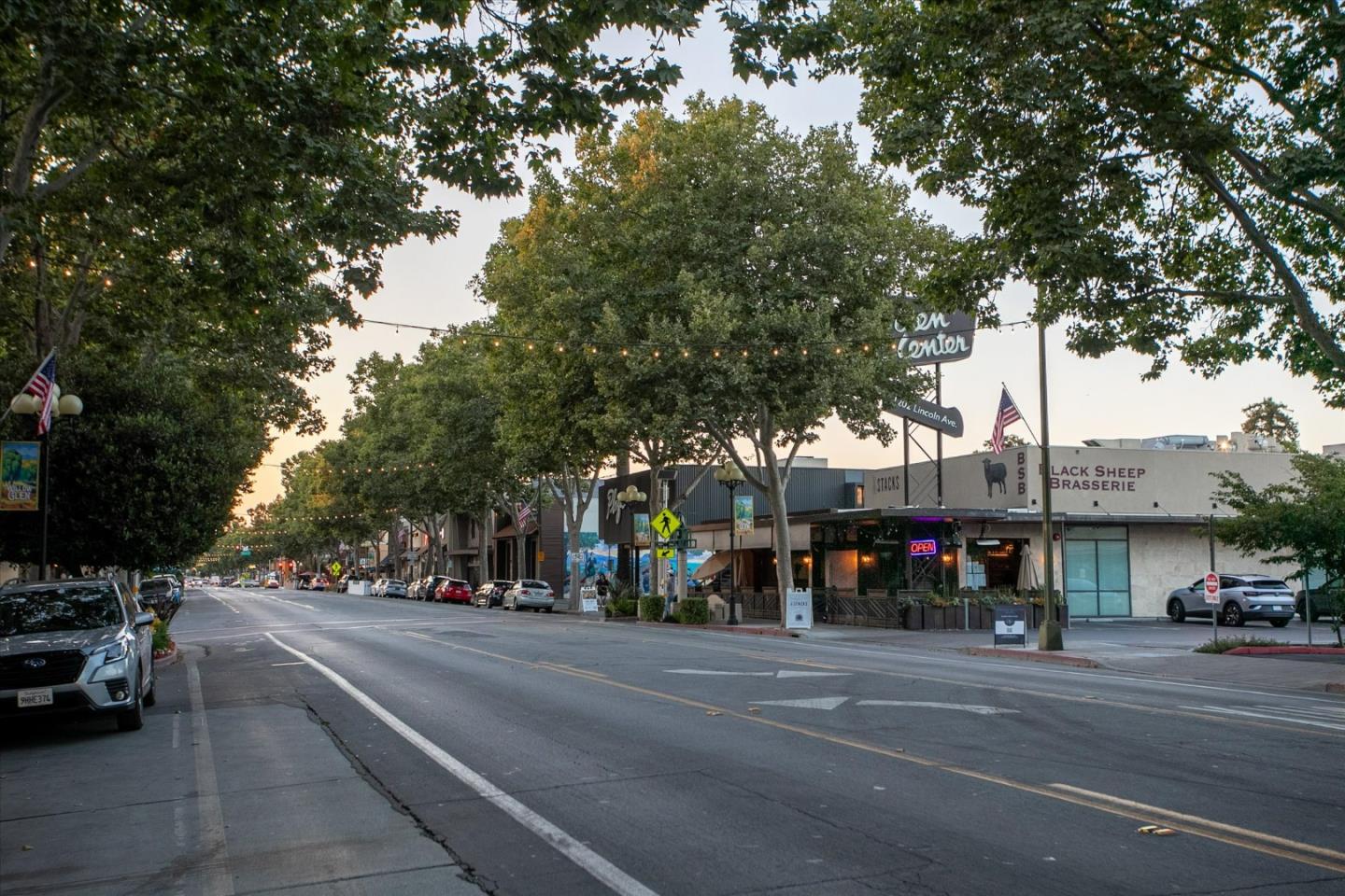 Detail Gallery Image 53 of 54 For 1471 Richards Ave, San Jose,  CA 95125 - 4 Beds | 3/1 Baths