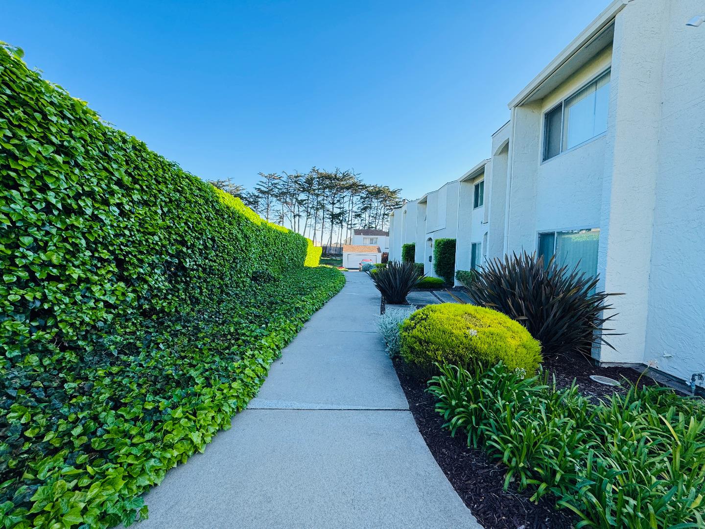 Detail Gallery Image 3 of 33 For 3137 Seacrest Ave #5,  Marina,  CA 93933 - 3 Beds | 2/1 Baths
