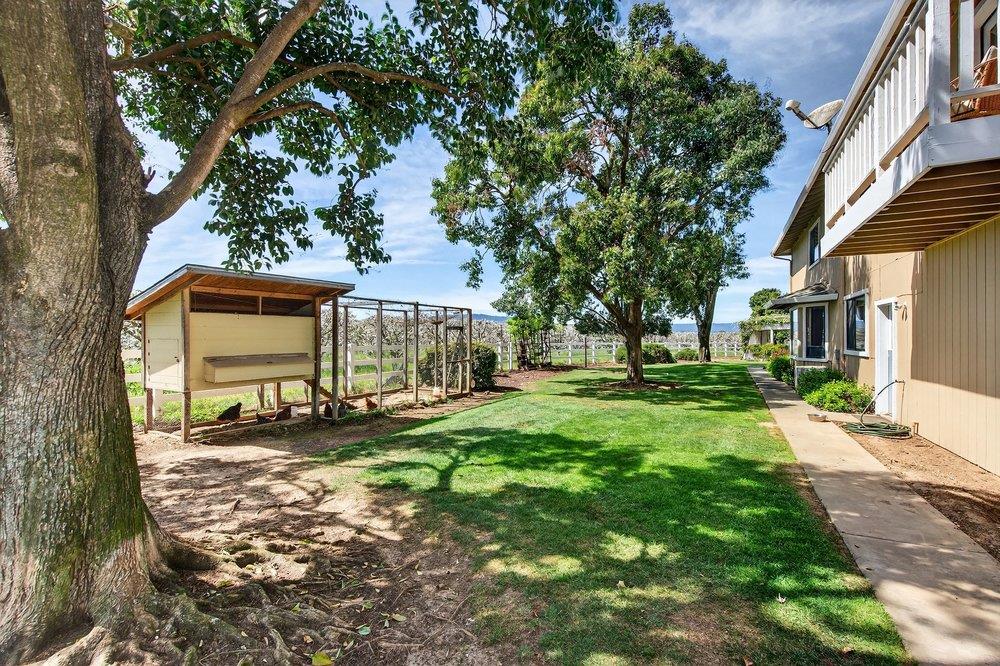 Detail Gallery Image 14 of 106 For 3465 Susie Ln, Gilroy,  CA 95020 - 4 Beds | 2/2 Baths