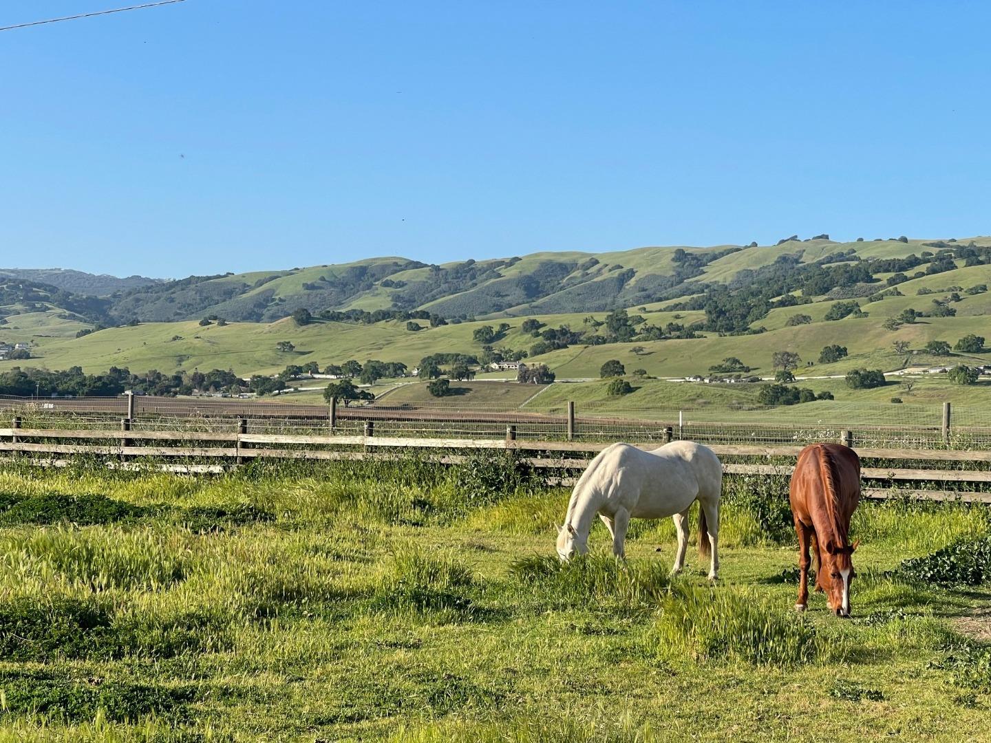 Detail Gallery Image 2 of 7 For 3465 Susie Ln, Gilroy,  CA 95020 - 4 Beds | 2/2 Baths