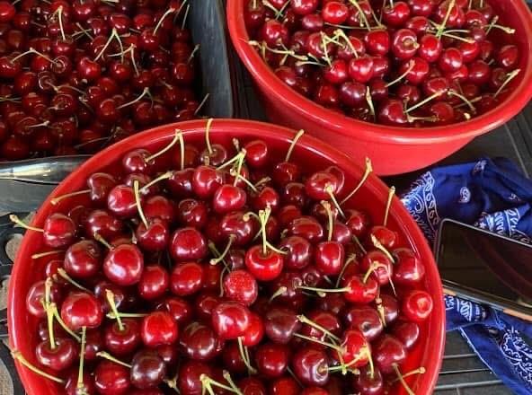 Detail Gallery Image 4 of 7 For 3465 Susie Ln, Gilroy,  CA 95020 - 4 Beds | 2/2 Baths