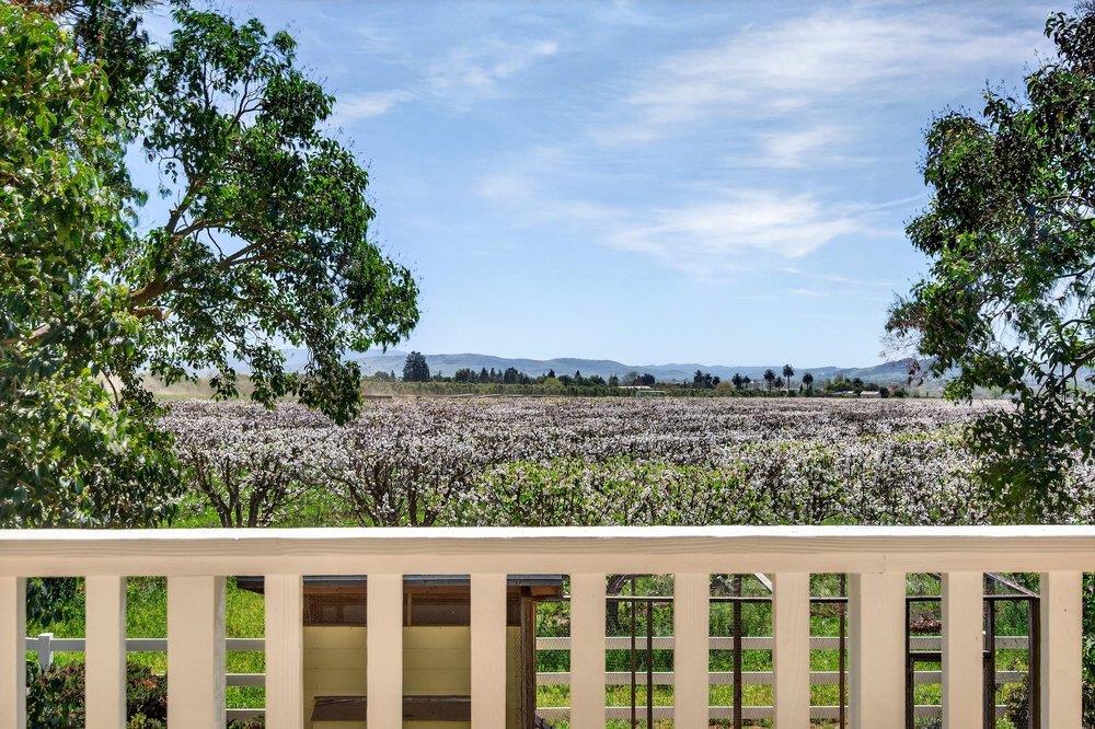 Detail Gallery Image 86 of 106 For 3465 Susie Ln, Gilroy,  CA 95020 - 4 Beds | 2/2 Baths