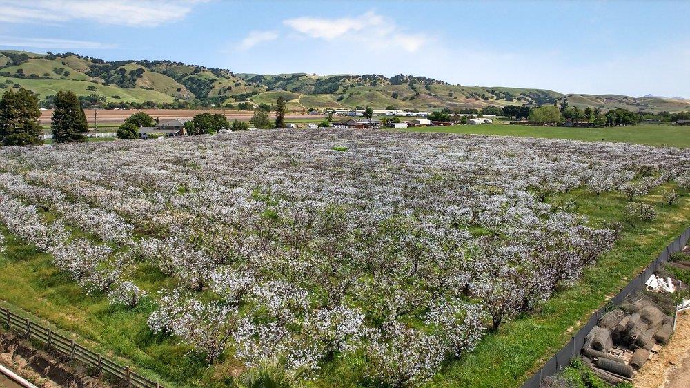Detail Gallery Image 93 of 106 For 3465 Susie Ln, Gilroy,  CA 95020 - 4 Beds | 2/2 Baths