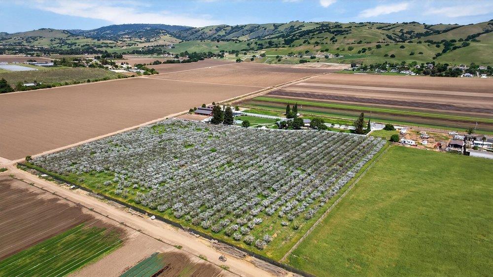 Detail Gallery Image 94 of 106 For 3465 Susie Ln, Gilroy,  CA 95020 - 4 Beds | 2/2 Baths