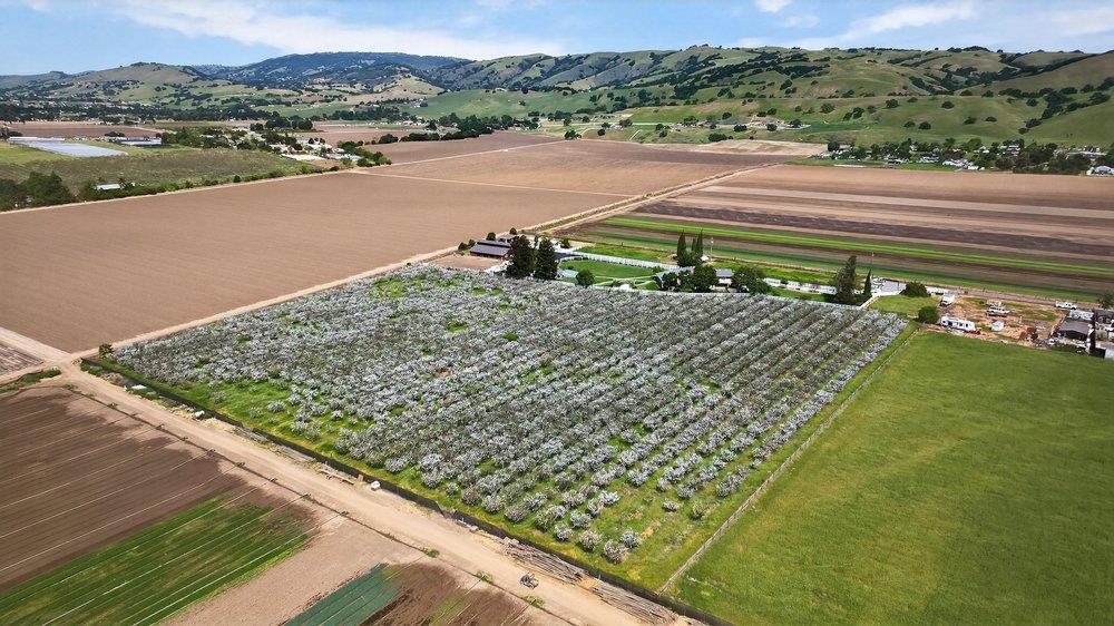 Detail Gallery Image 95 of 106 For 3465 Susie Ln, Gilroy,  CA 95020 - 4 Beds | 2/2 Baths