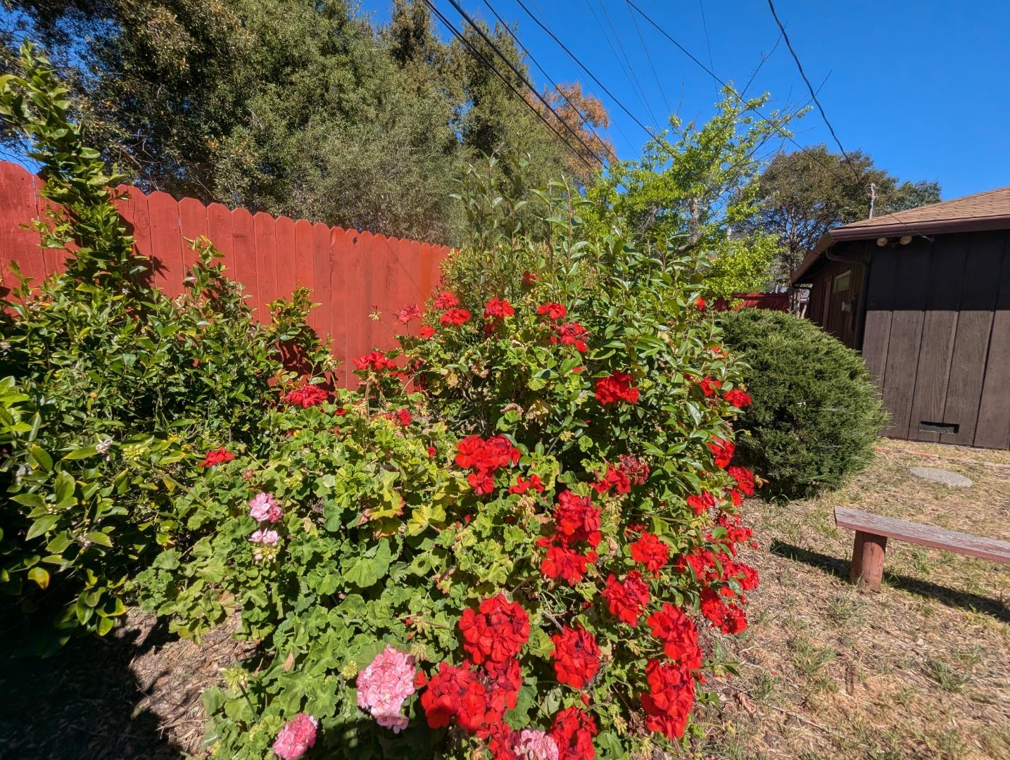 Detail Gallery Image 77 of 100 For 3505 Morningside Dr, El Sobrante,  CA 94803 - 6 Beds | 3/1 Baths