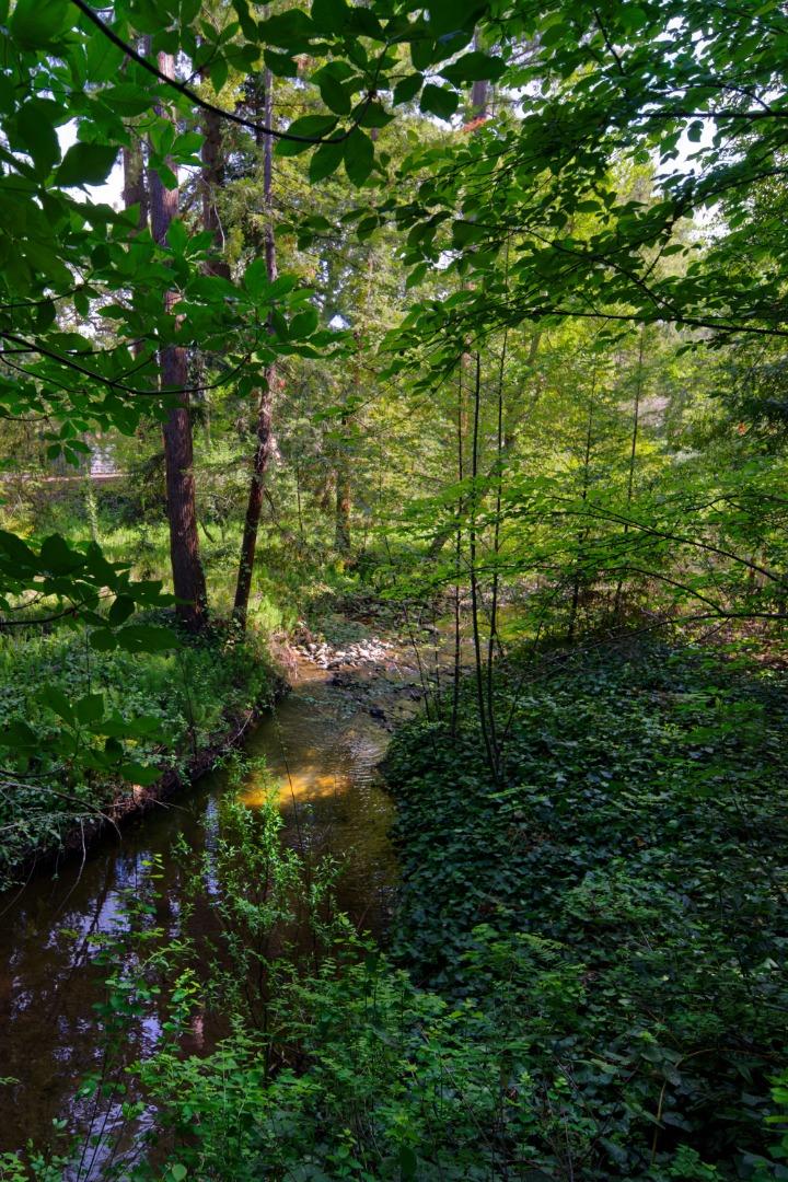 Detail Gallery Image 27 of 34 For 340 Willowbrook Dr, Portola Valley,  CA 94028 - 6 Beds | 4 Baths