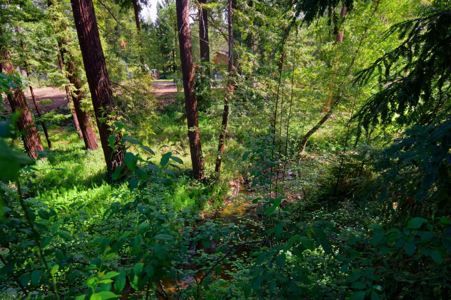 Detail Gallery Image 31 of 34 For 340 Willowbrook Dr, Portola Valley,  CA 94028 - 6 Beds | 4 Baths