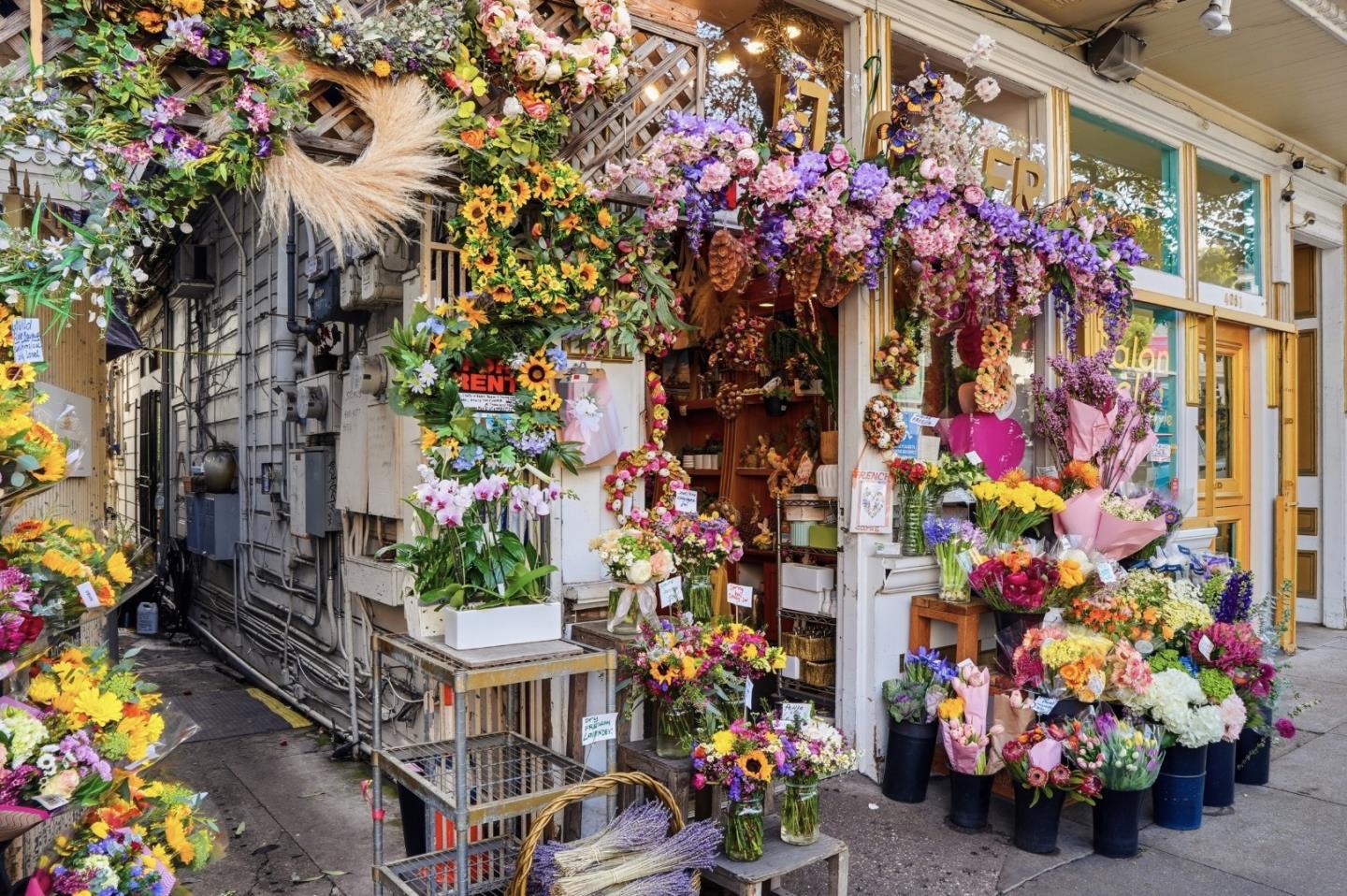 Detail Gallery Image 68 of 71 For 1116 Diamond St, San Francisco,  CA 94114 - 3 Beds | 1/1 Baths