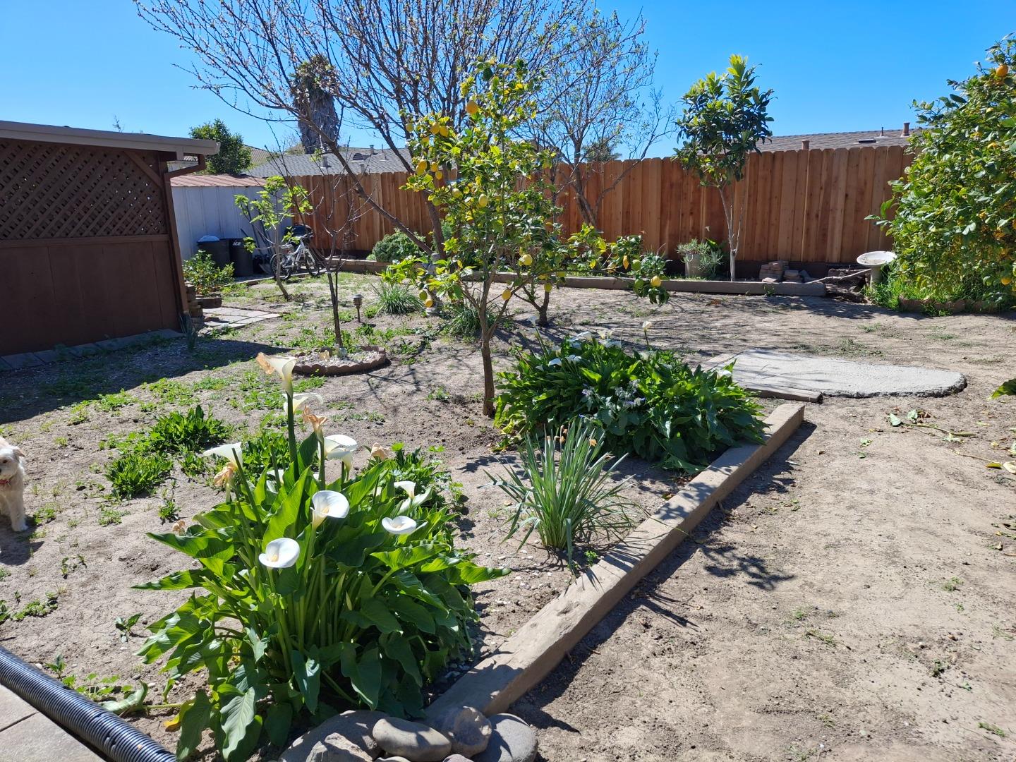 Detail Gallery Image 23 of 26 For 250 Gonzalez Dr, Hollister,  CA 95023 - 4 Beds | 1 Baths