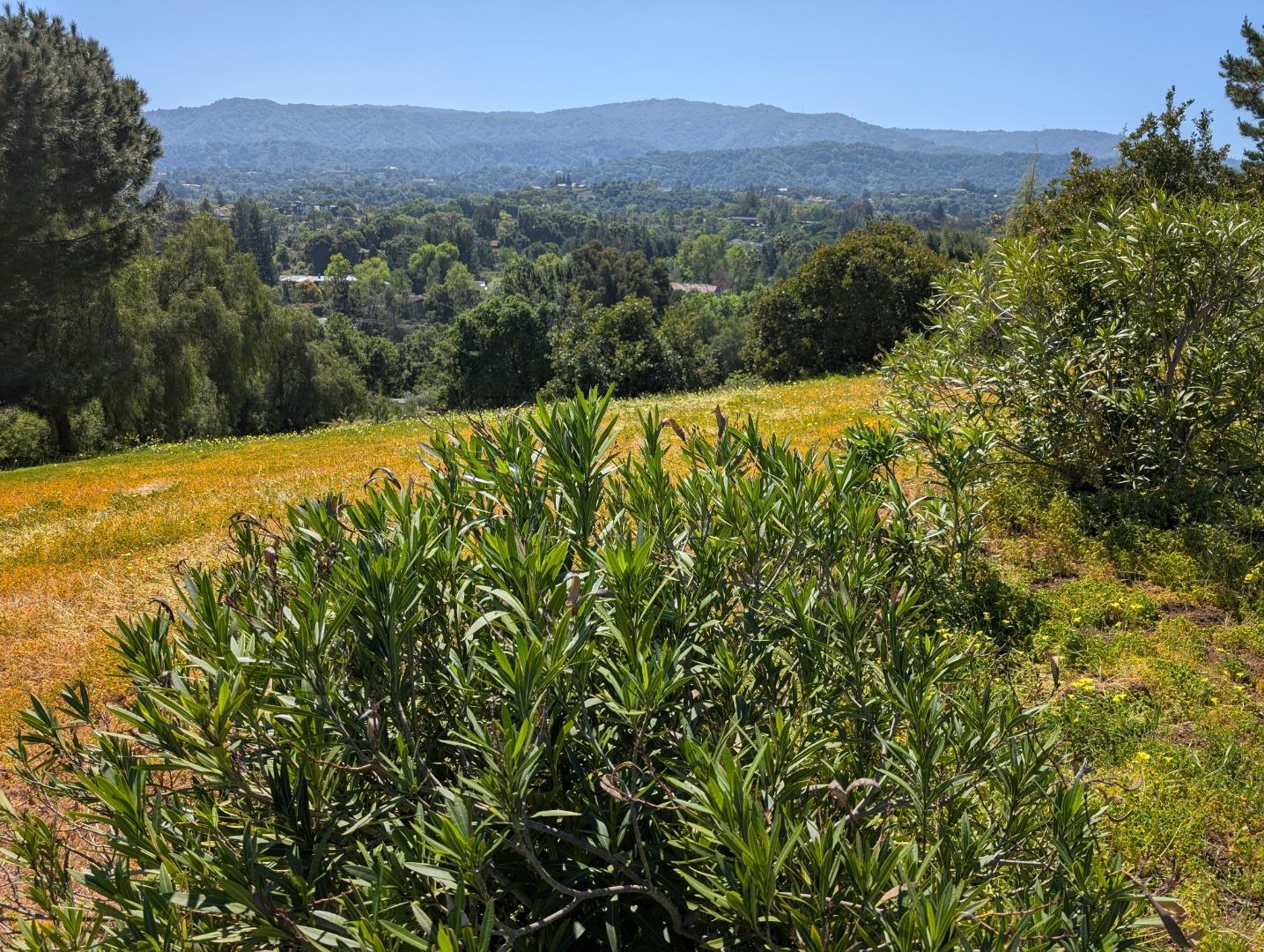 Detail Gallery Image 2 of 3 For 0 Ruth Lee Ct, Los Altos,  CA 94024 - – Beds | – Baths