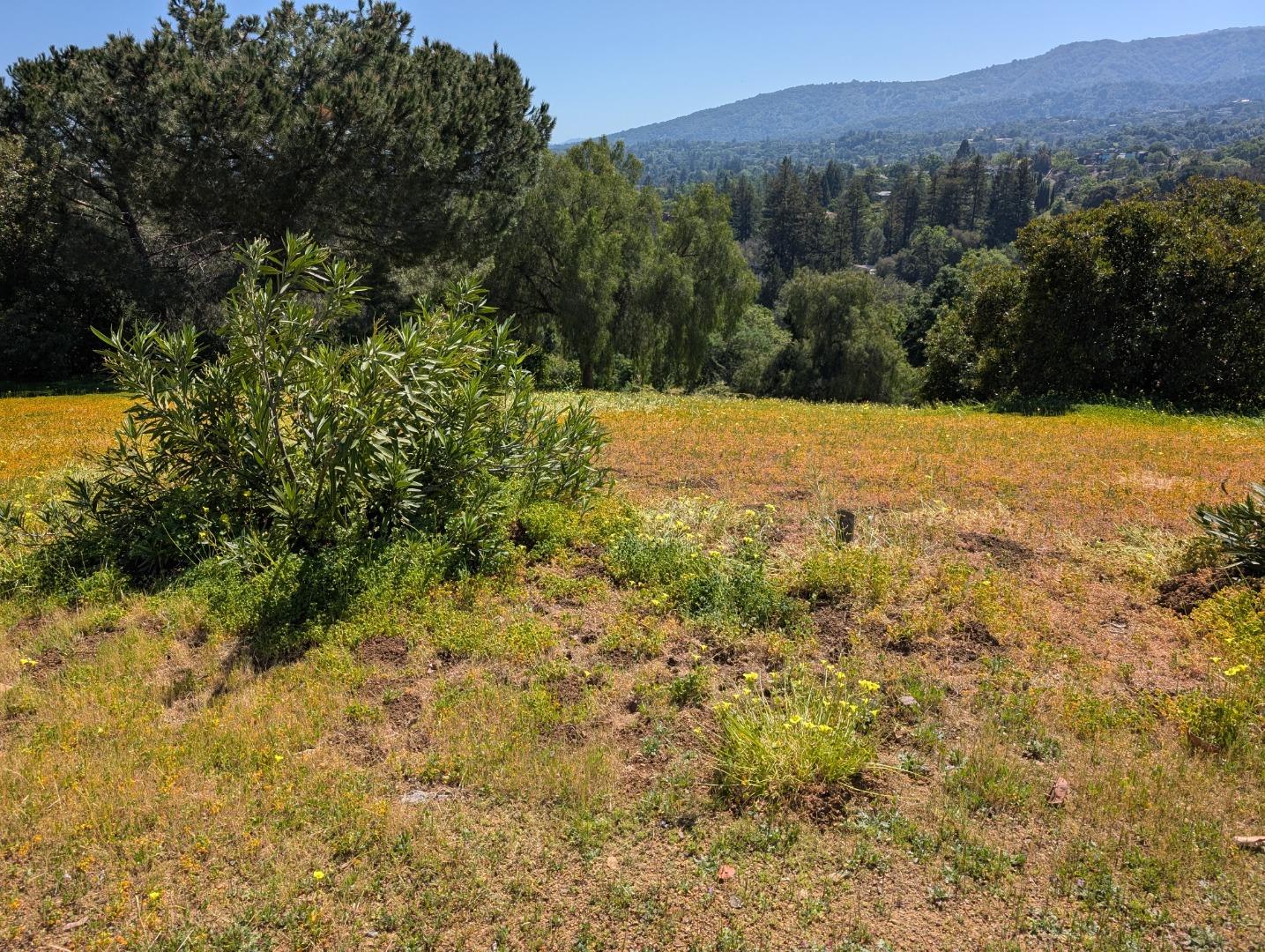 Detail Gallery Image 8 of 14 For 0 Ruth Lee Ct, Los Altos,  CA 94024 - – Beds | – Baths