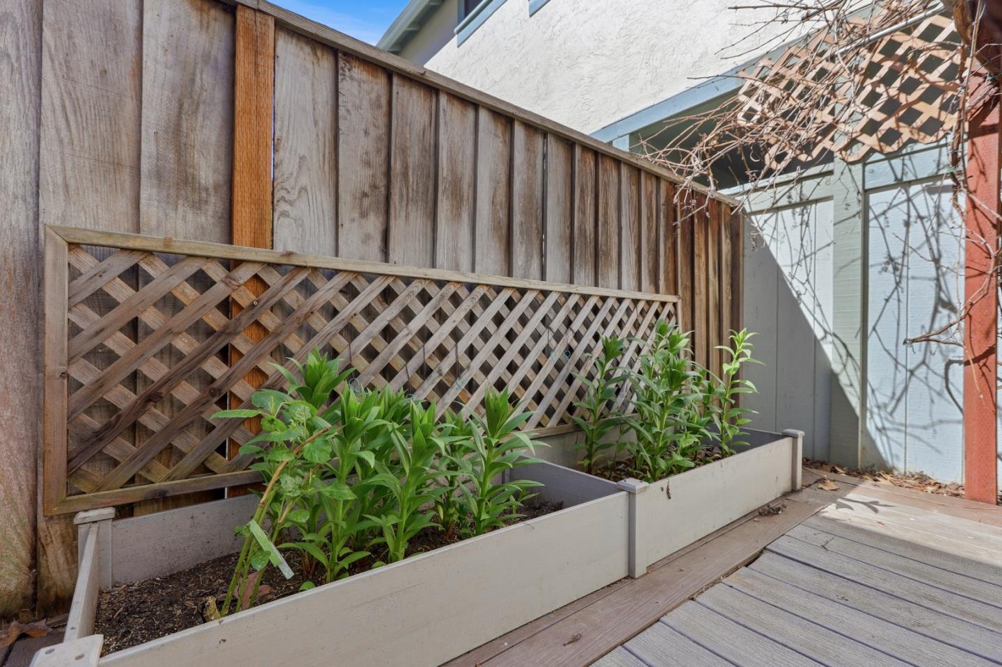 Detail Gallery Image 22 of 48 For 34827 Dorado Common, Fremont,  CA 94555 - 2 Beds | 1/1 Baths