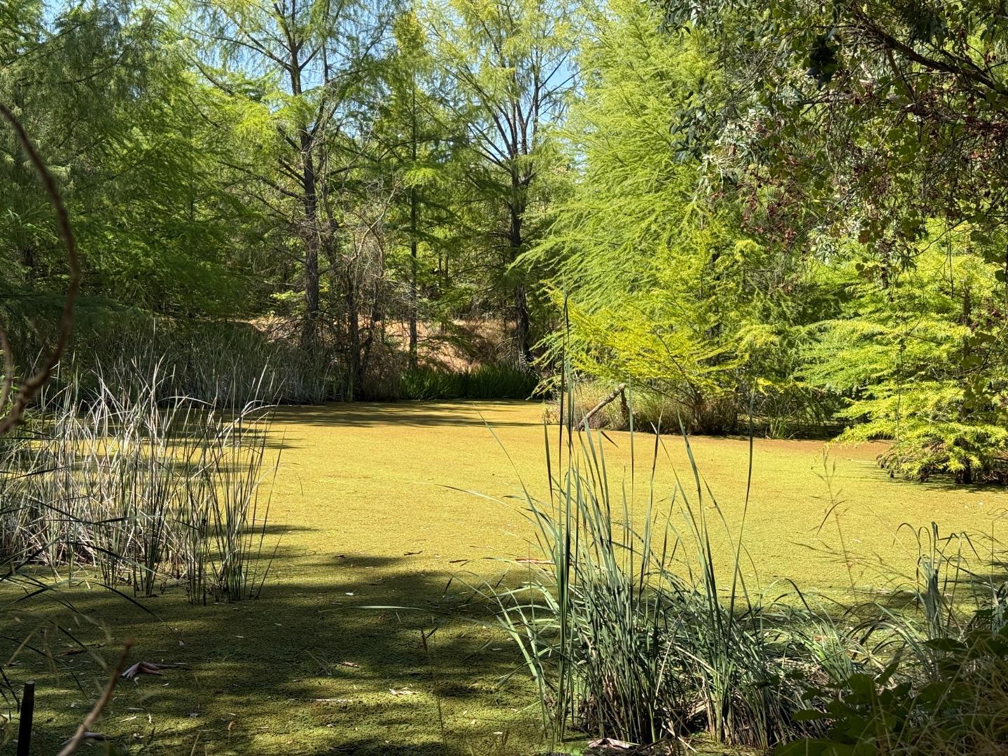 Detail Gallery Image 76 of 77 For 7555 Merced Falls Rd, Snelling,  CA 95369 - 5 Beds | 3 Baths