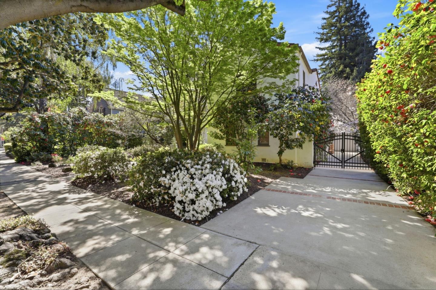 Detail Gallery Image 3 of 53 For 566 E Crescent Dr, Palo Alto,  CA 94301 - 5 Beds | 4 Baths