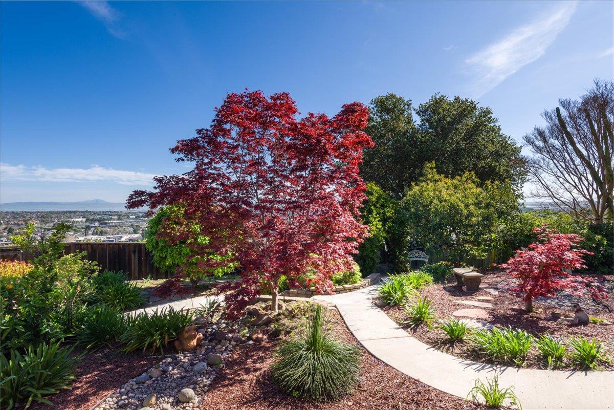 Detail Gallery Image 58 of 75 For 819 Holly Rd, Belmont,  CA 94002 - 4 Beds | 3 Baths