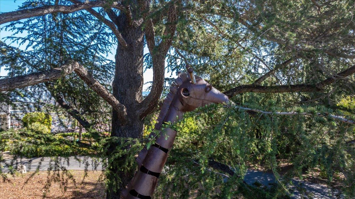 Detail Gallery Image 75 of 75 For 819 Holly Rd, Belmont,  CA 94002 - 4 Beds | 3 Baths