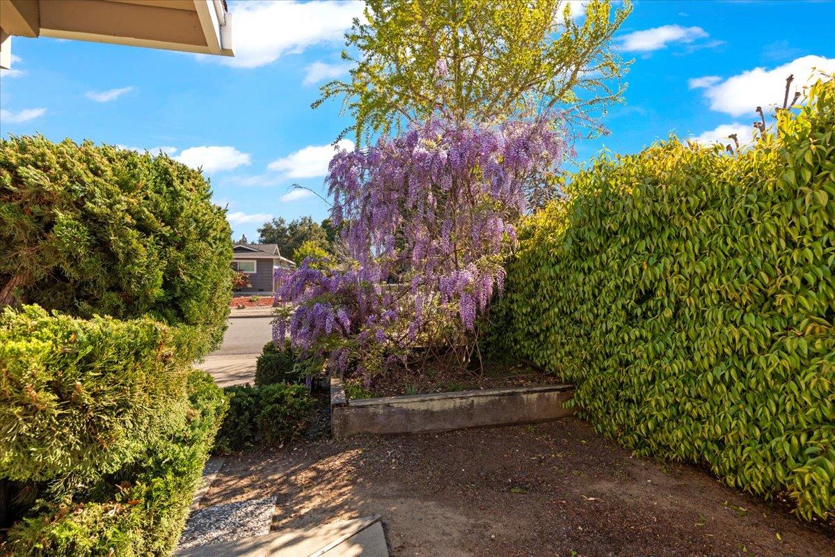 Detail Gallery Image 3 of 40 For 741 Saranac Dr, Sunnyvale,  CA 94087 - 4 Beds | 2 Baths