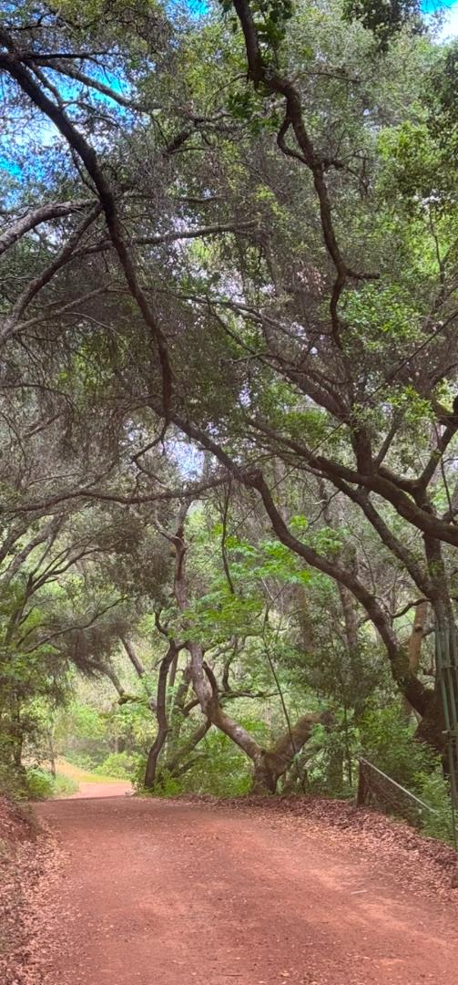 Detail Gallery Image 10 of 28 For 0 O Uvas Road, Morgan Hill,  CA 95037 - – Beds | – Baths