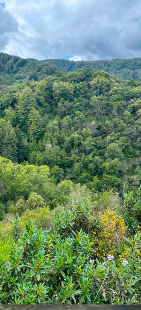 Detail Gallery Image 20 of 28 For 0 O Uvas Road, Morgan Hill,  CA 95037 - – Beds | – Baths