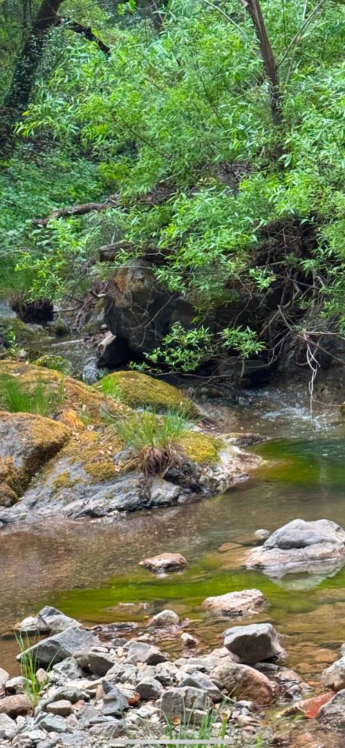 Detail Gallery Image 22 of 28 For 0 O Uvas Road, Morgan Hill,  CA 95037 - – Beds | – Baths