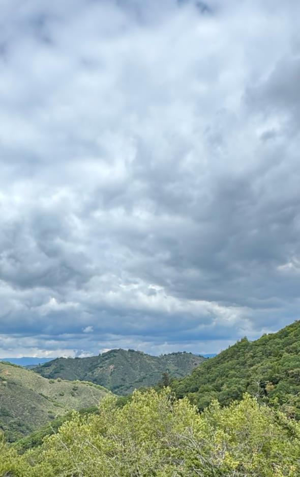 Detail Gallery Image 24 of 28 For 0 O Uvas Road, Morgan Hill,  CA 95037 - – Beds | – Baths