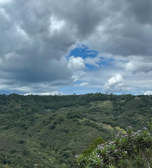 Detail Gallery Image 25 of 28 For 0 O Uvas Road, Morgan Hill,  CA 95037 - – Beds | – Baths