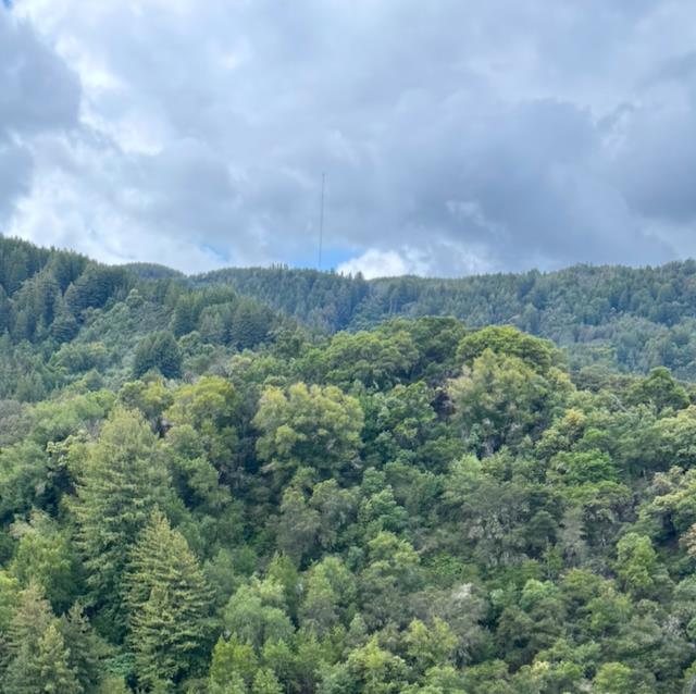 Detail Gallery Image 3 of 28 For 0 O Uvas Road, Morgan Hill,  CA 95037 - – Beds | – Baths