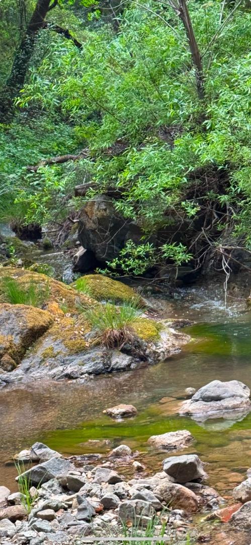 Detail Gallery Image 5 of 28 For 0 O Uvas Road, Morgan Hill,  CA 95037 - – Beds | – Baths