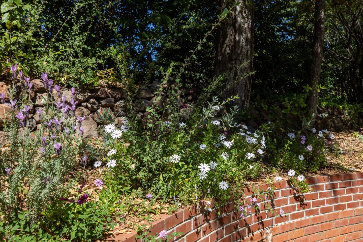 Detail Gallery Image 13 of 35 For 391 Mountain Home Rd, Woodside,  CA 94062 - 2 Beds | 1 Baths