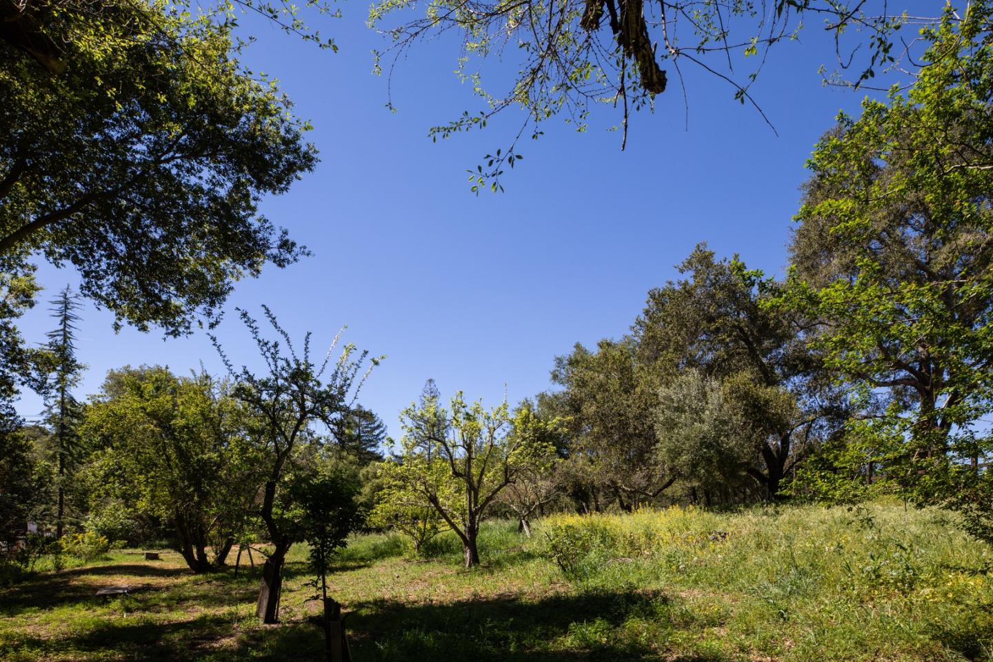 Detail Gallery Image 33 of 35 For 391 Mountain Home Rd, Woodside,  CA 94062 - 2 Beds | 1 Baths