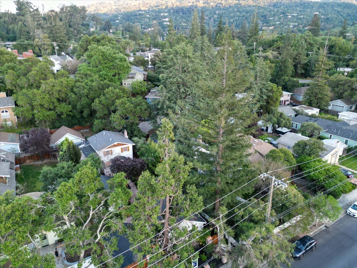 Detail Gallery Image 46 of 57 For 46 Pleasant St, Los Gatos,  CA 95030 - 4 Beds | 2/1 Baths