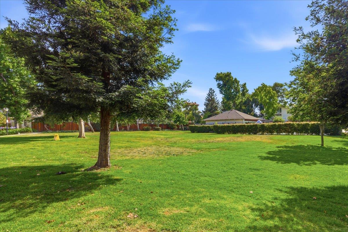 Photo #54: ML82039636 Listing: Photo #54