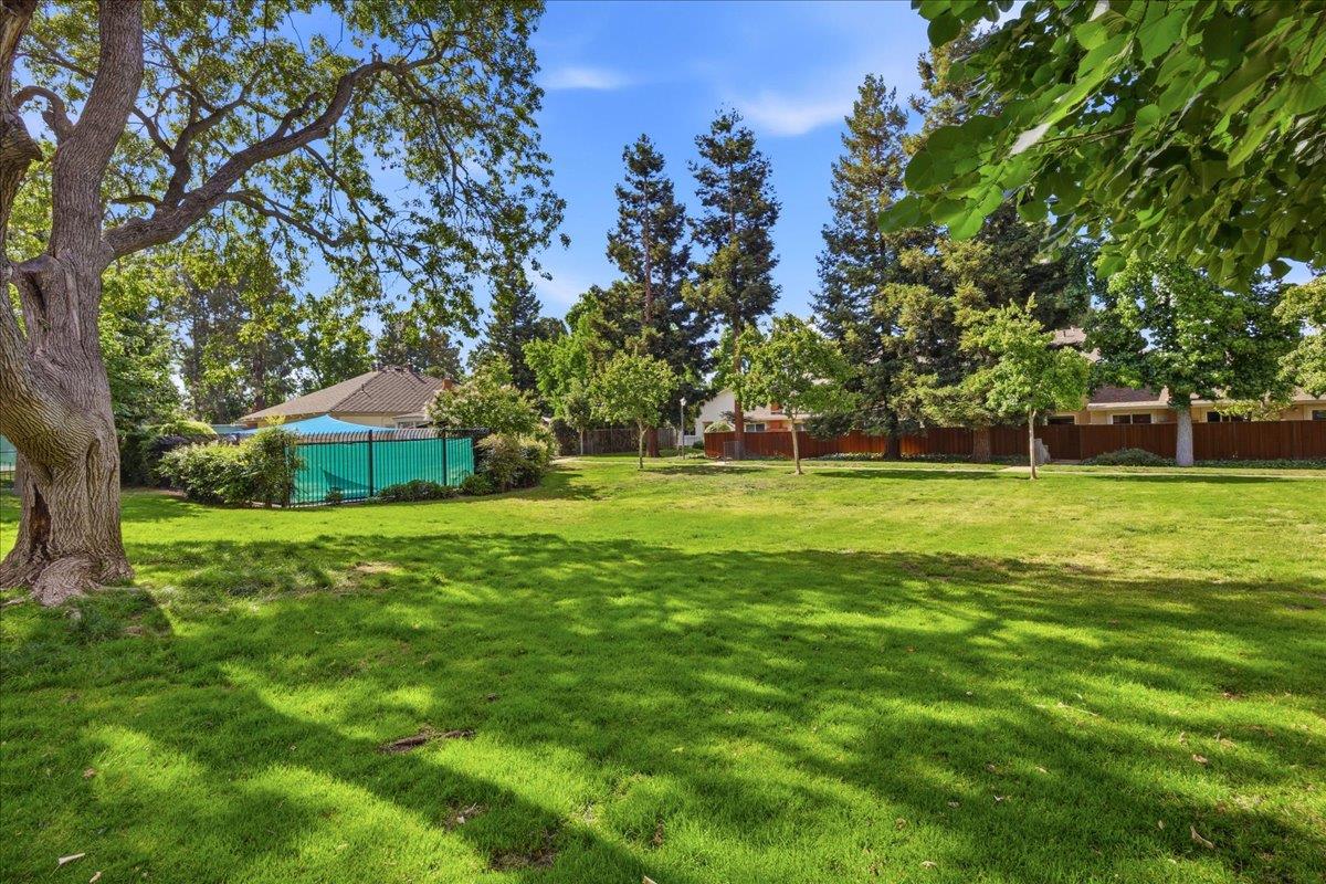 Photo #56: ML82039636 Listing: Photo #56