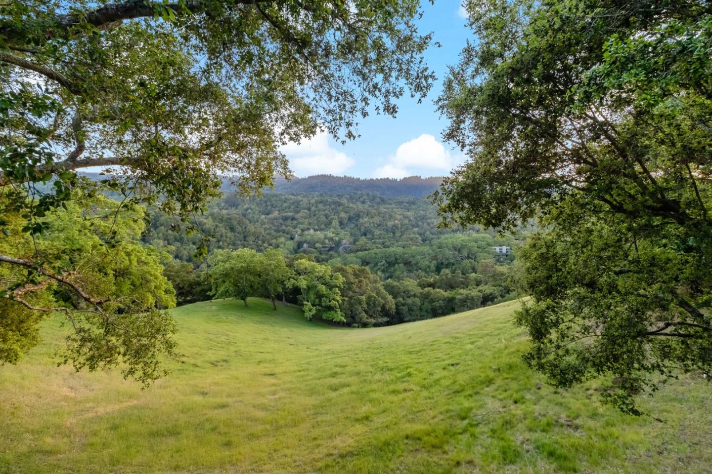 Detail Gallery Image 14 of 49 For 8 Hawkview St, Portola Valley,  CA 94028 - 4 Beds | 3/1 Baths