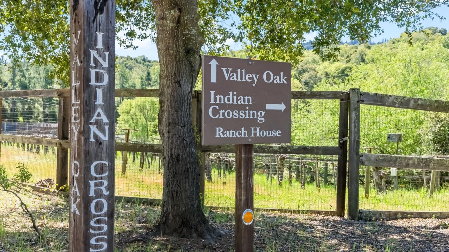 Detail Gallery Image 50 of 61 For 8 Hawkview St, Portola Valley,  CA 94028 - 4 Beds | 3/1 Baths