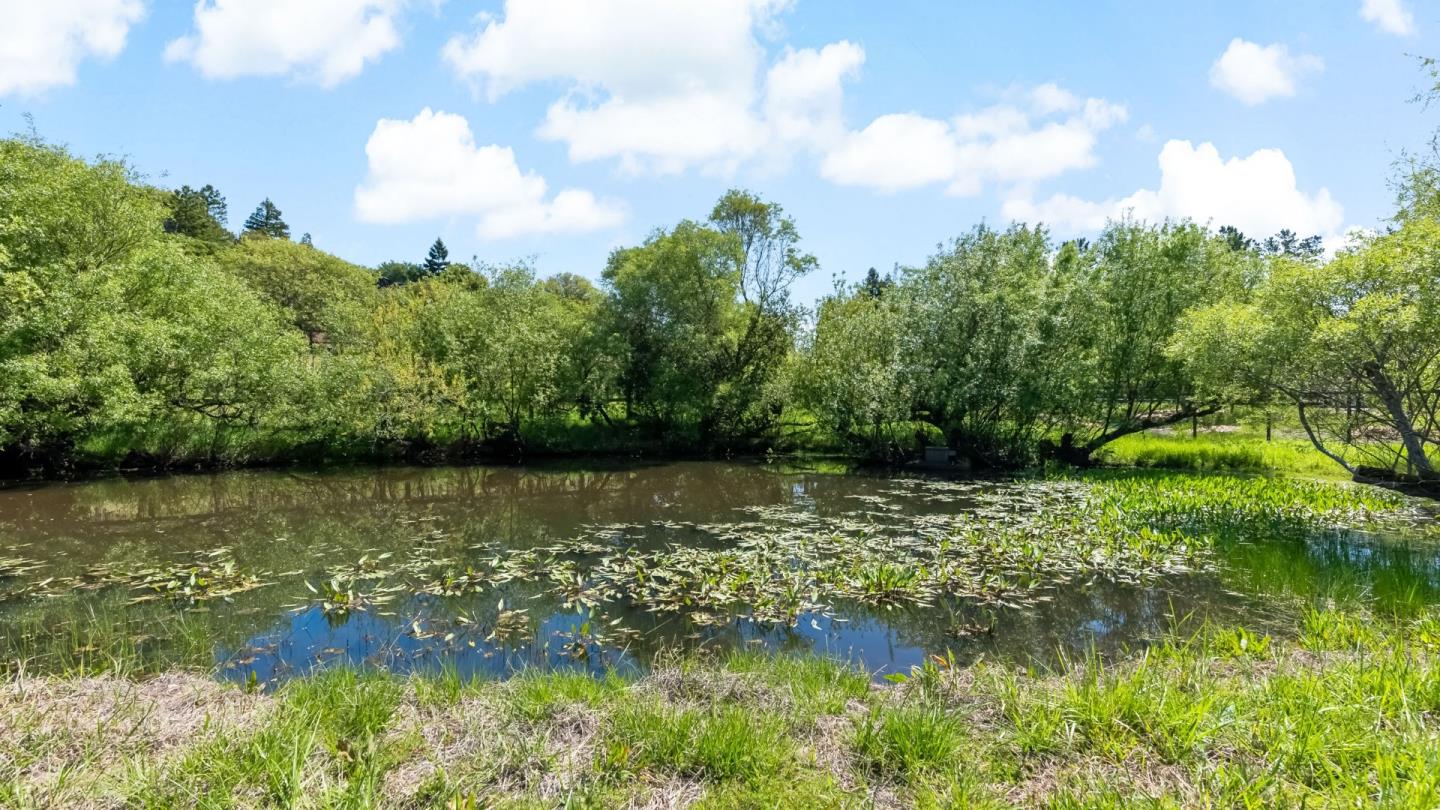 Detail Gallery Image 60 of 61 For 8 Hawkview St, Portola Valley,  CA 94028 - 4 Beds | 3/1 Baths