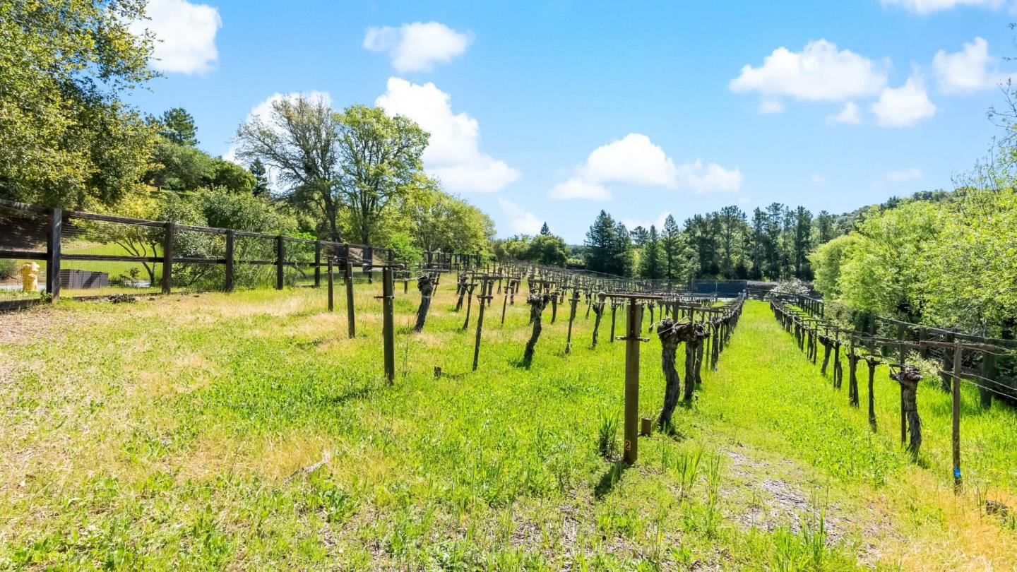 Detail Gallery Image 61 of 61 For 8 Hawkview St, Portola Valley,  CA 94028 - 4 Beds | 3/1 Baths