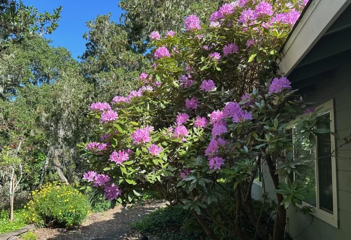 Detail Gallery Image 34 of 41 For 25349 Flanders Dr, Carmel,  CA 93923 - 3 Beds | 2 Baths