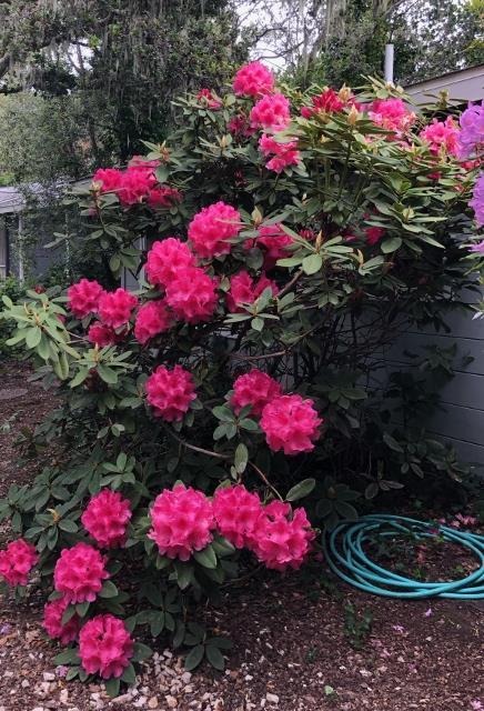 Detail Gallery Image 35 of 41 For 25349 Flanders Dr, Carmel,  CA 93923 - 3 Beds | 2 Baths