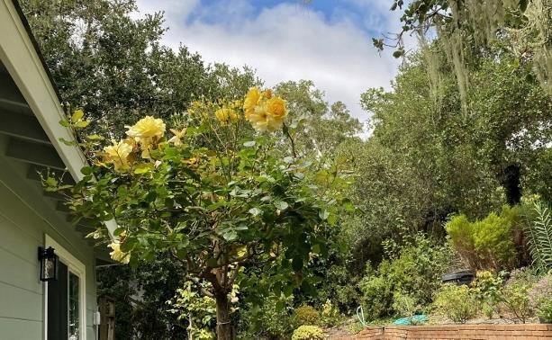 Detail Gallery Image 38 of 41 For 25349 Flanders Dr, Carmel,  CA 93923 - 3 Beds | 2 Baths