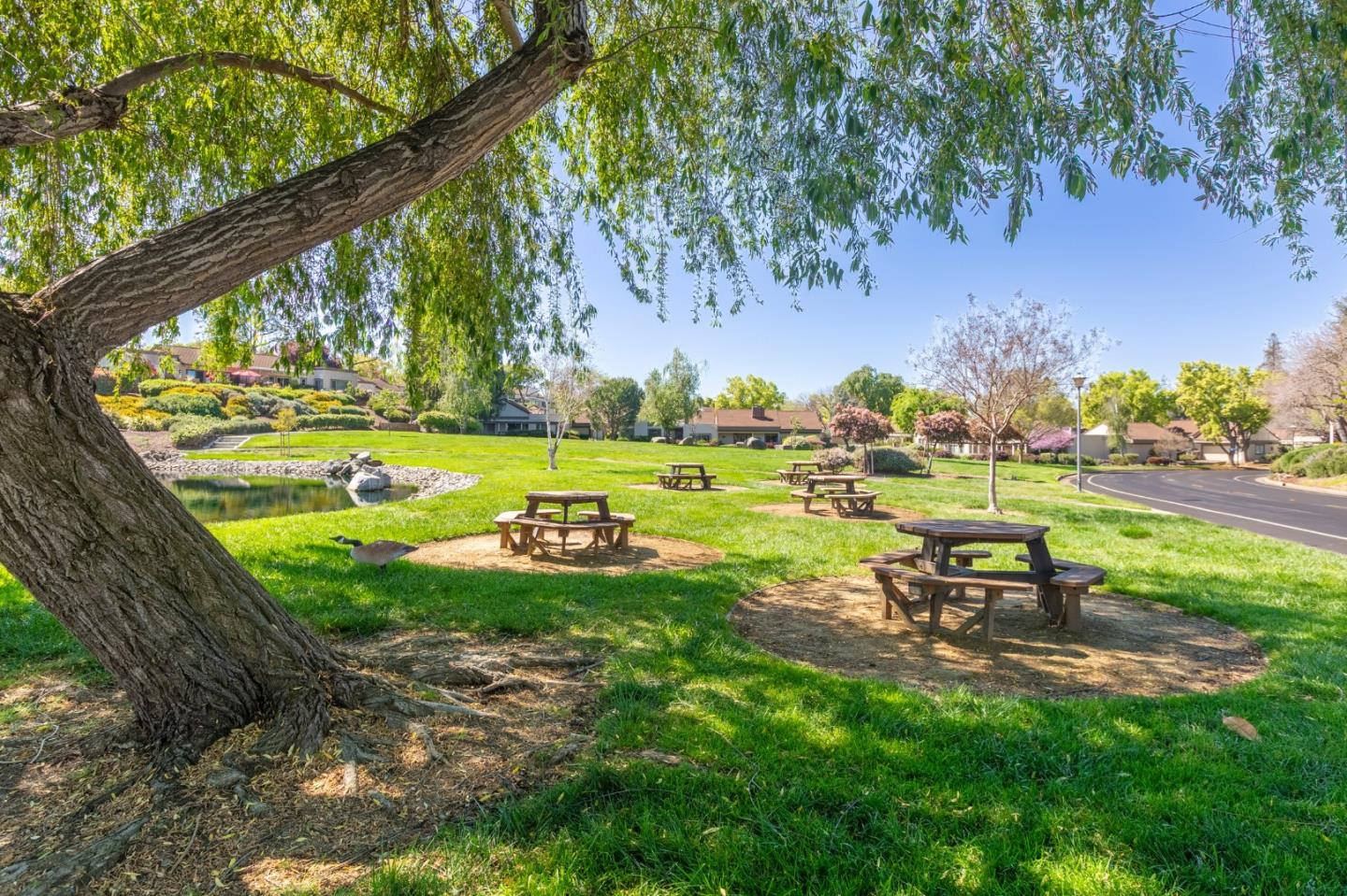 Detail Gallery Image 42 of 43 For 6224 Gerdts Dr, San Jose,  CA 95135 - 2 Beds | 2 Baths