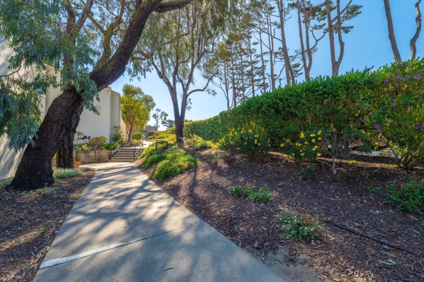 Detail Gallery Image 2 of 30 For 3137 Seacrest Ave #6,  Marina,  CA 93933 - 2 Beds | 1/1 Baths