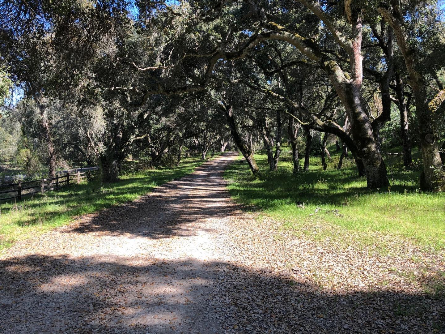 Detail Gallery Image 36 of 41 For 36000 E Carmel Valley, Carmel Valley,  CA 93924 - – Beds | – Baths