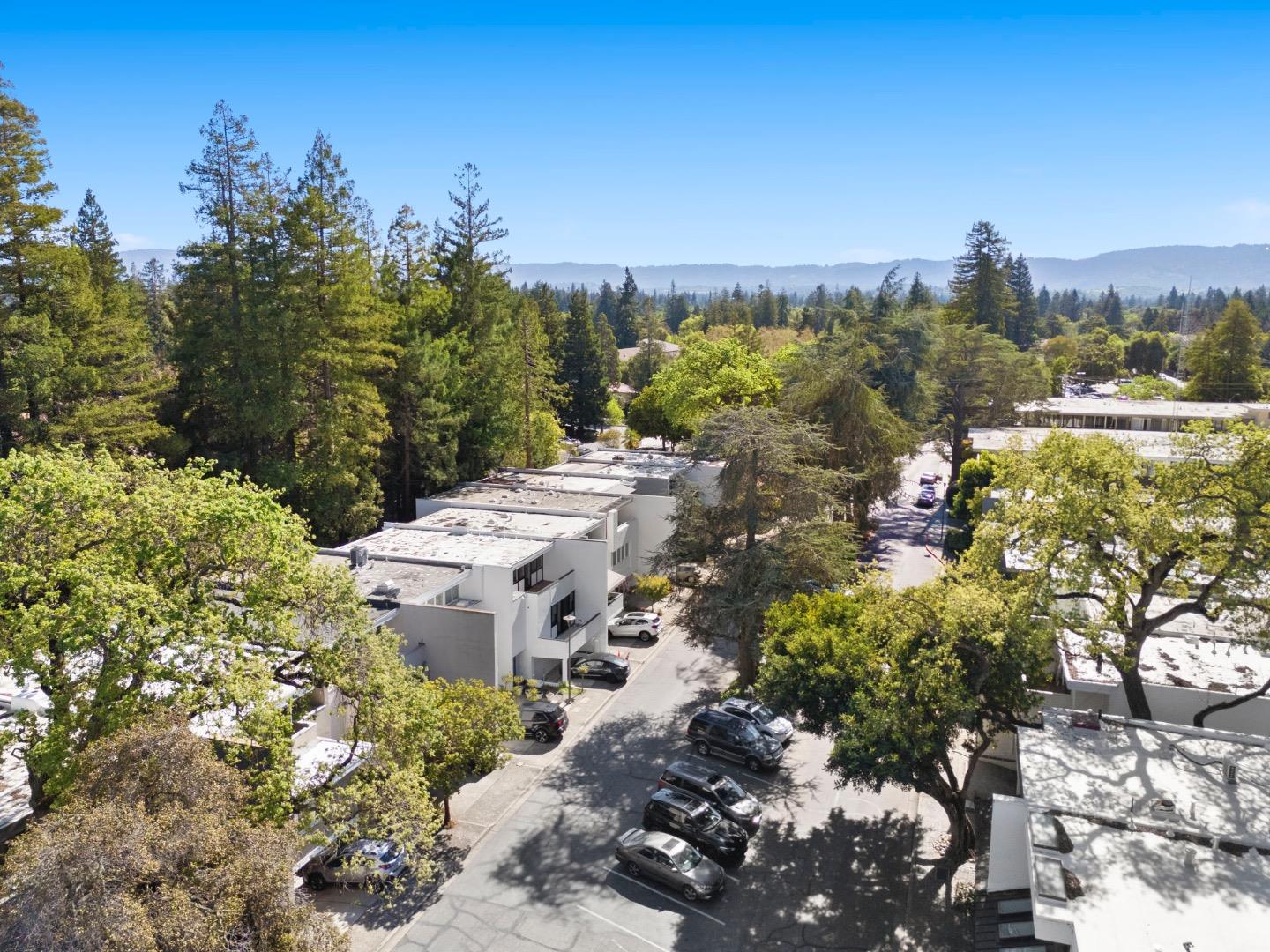 Detail Gallery Image 53 of 56 For 138 Stone Pine Ln, Menlo Park,  CA 94025 - 3 Beds | 2/1 Baths