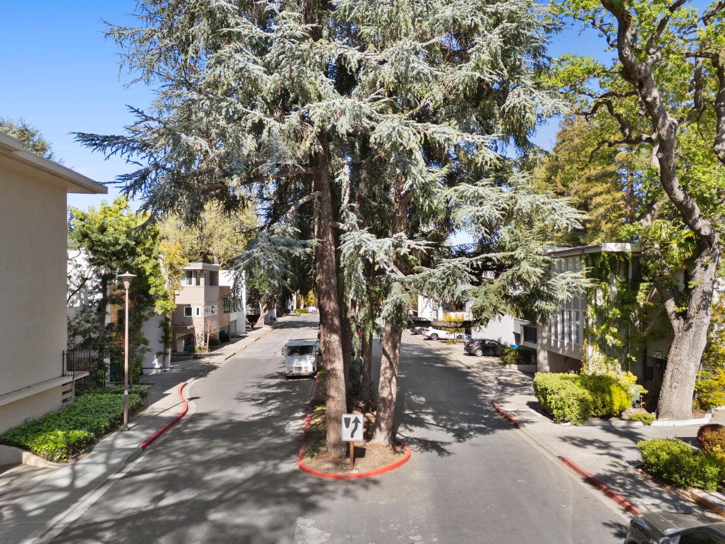 Detail Gallery Image 55 of 56 For 138 Stone Pine Ln, Menlo Park,  CA 94025 - 3 Beds | 2/1 Baths